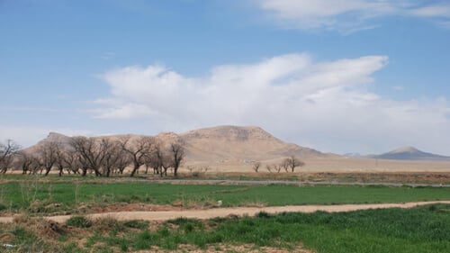 Chorasan-Safrananbaugebiet-Iran
