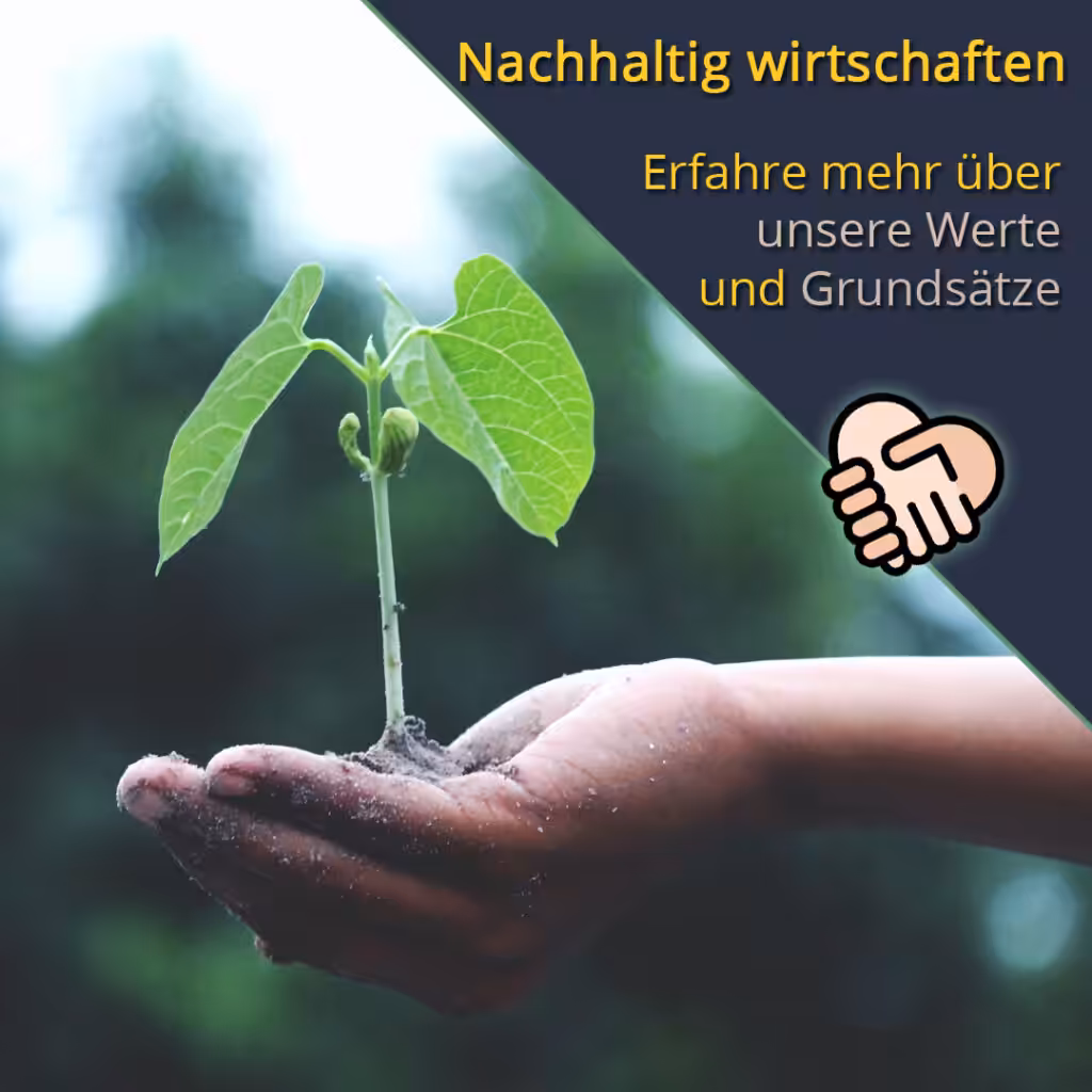 werte-nachhaltigkeit